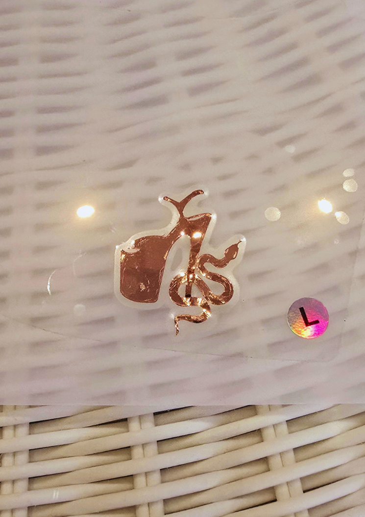 Protecteur de talons invisibles - série PRO Pleaser 8 inch - Édition exclusive CAPRICE