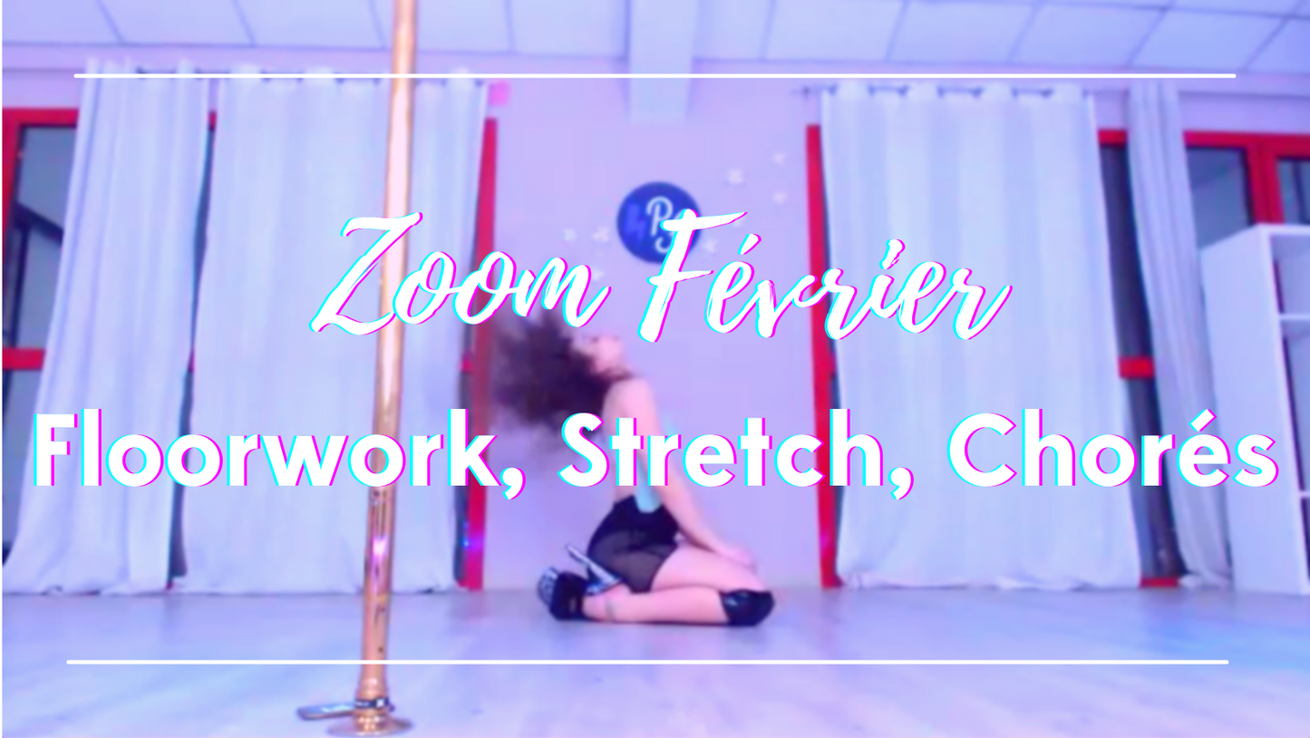 ENREGISTREMENTS COURS ZOOM FÉVRIER - FLOORWORK, STRETCH, CHORÉS
