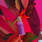 Make Me Dusty - Grip pour peaux normales à moites 30ml - Tarte Myrtilles